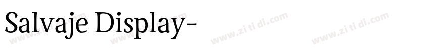 Salvaje Display字体转换